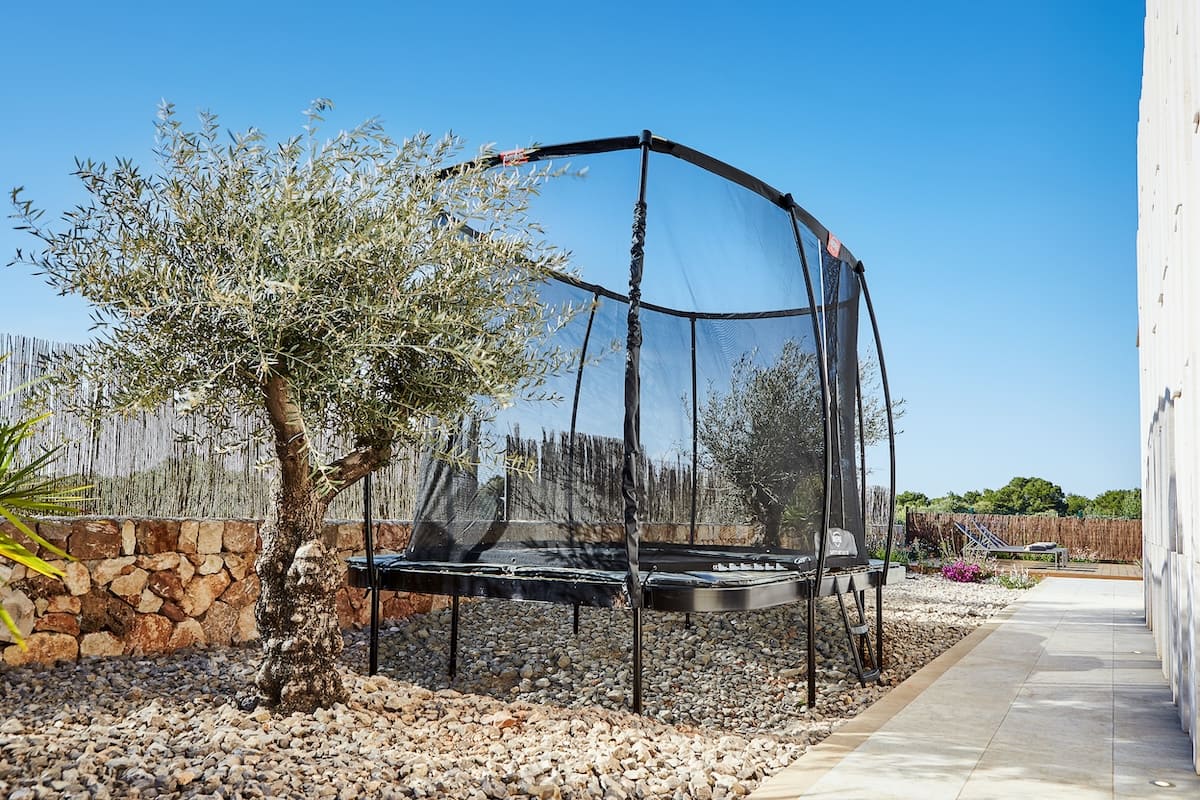 villa-mallorca-trampolin-olivenbaum